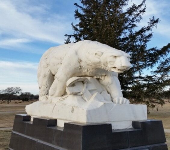 Polar Bear Expedition