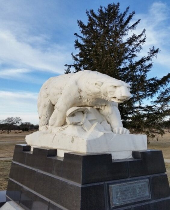 Polar Bear Expedition
