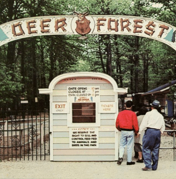 deer forest
