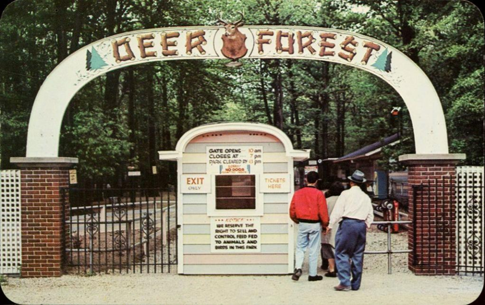 deer forest