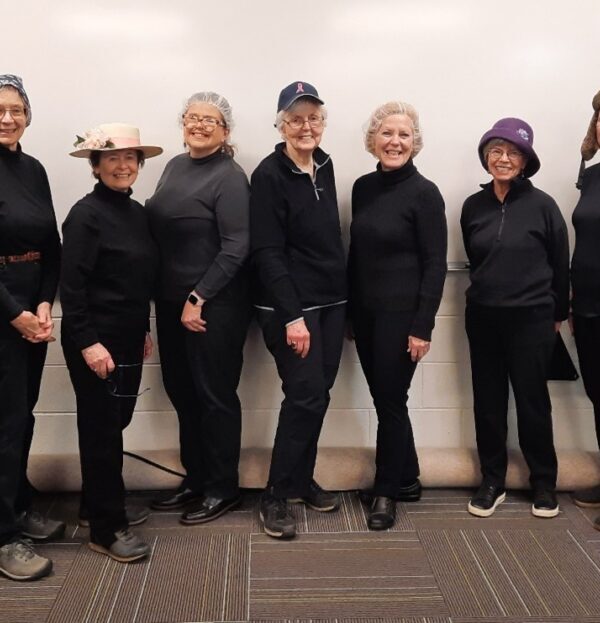 silver-bag-ladies-of-sh